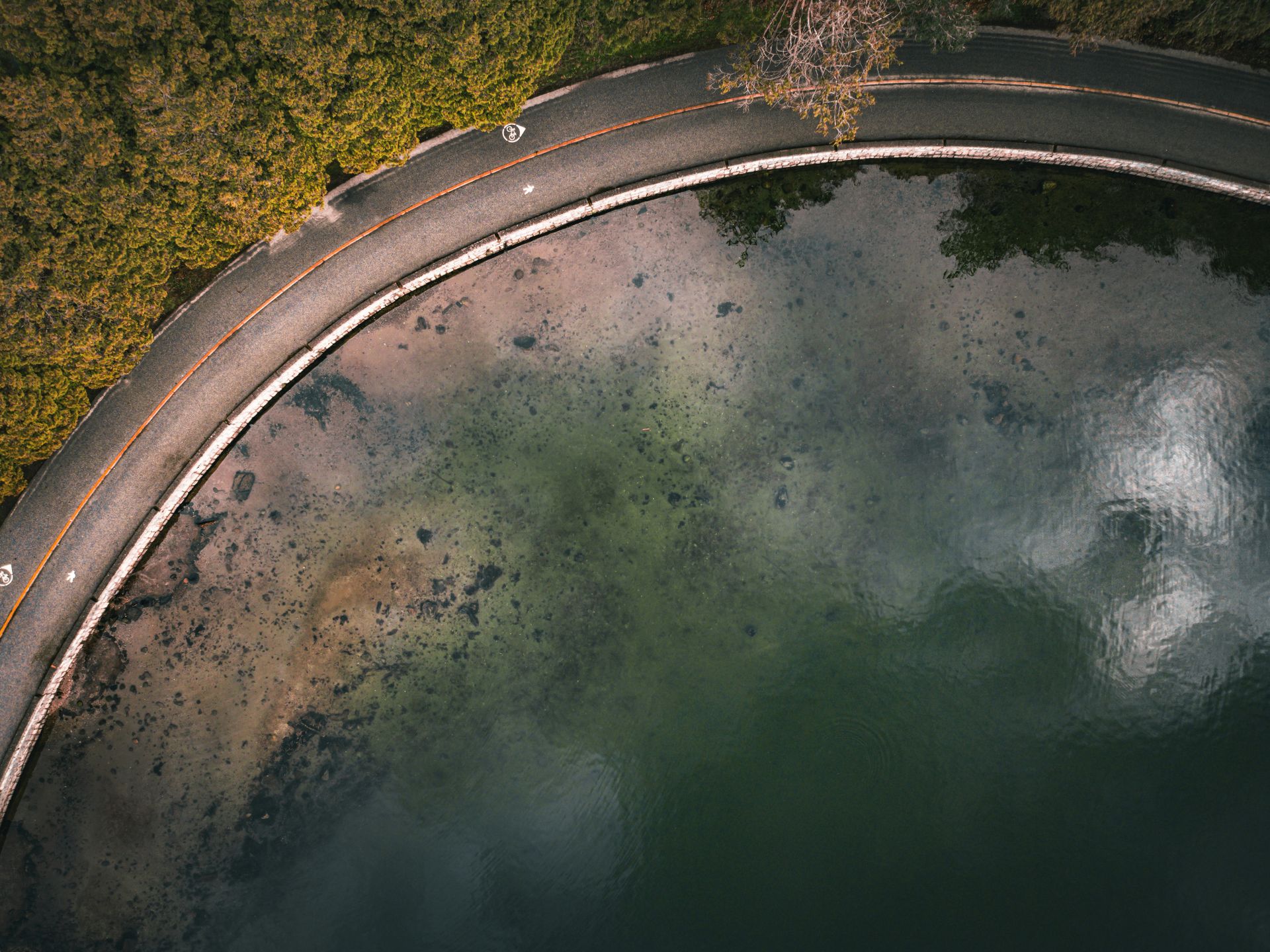 Aerial view of the Stanley Park seawall and coastline