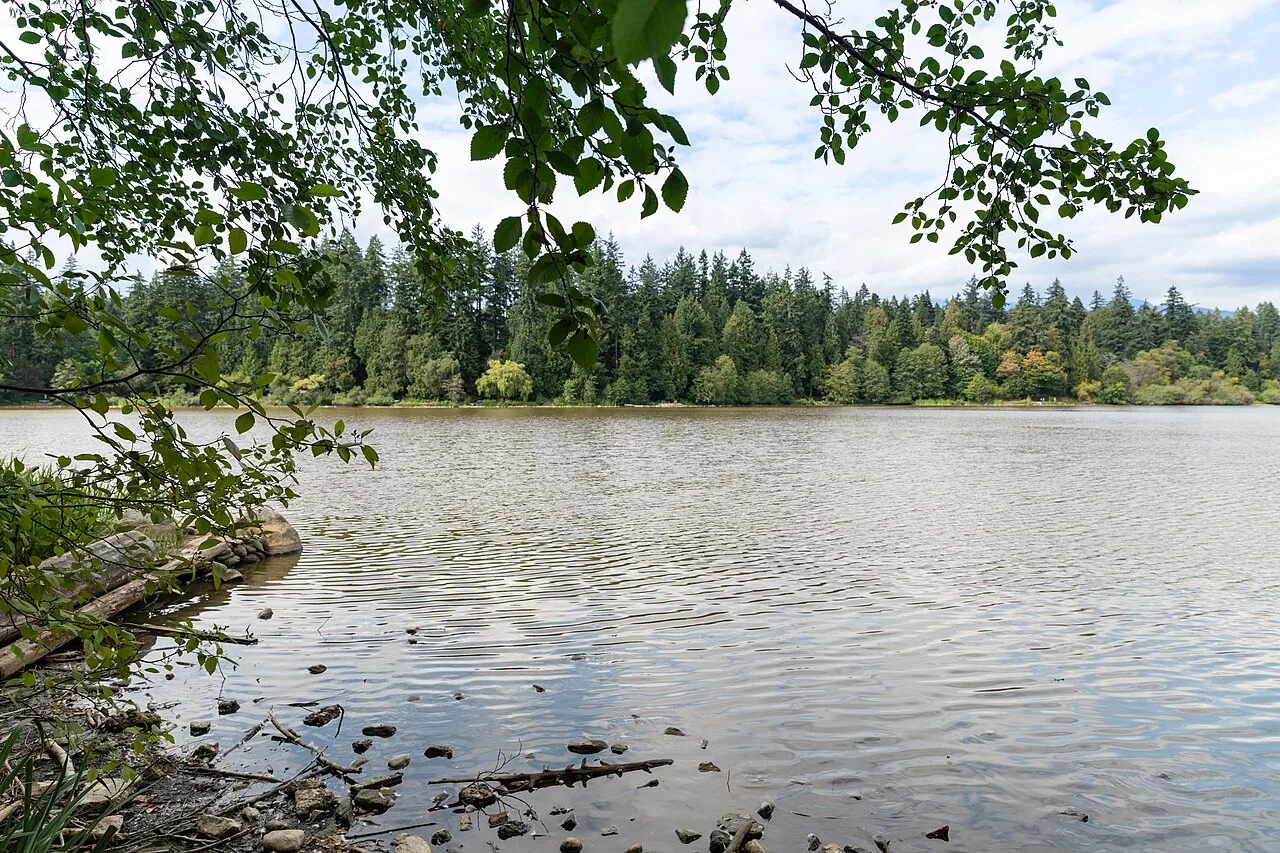 Tree-lined shore and water at Lost Lagoon in Stanley Park