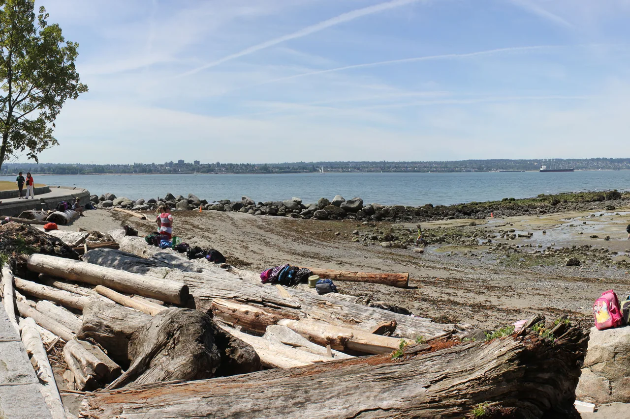 Driftwood and shoreline at Second Beach in Stanley Park